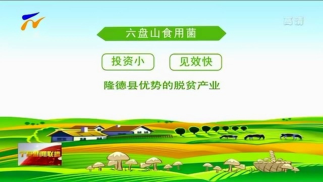 宁夏:银税互动 帮助中小微企业渡过难关