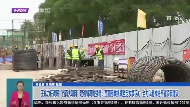 黑龙江:直面困难坚定发展信心 全力以赴推进“省百大项目”建设