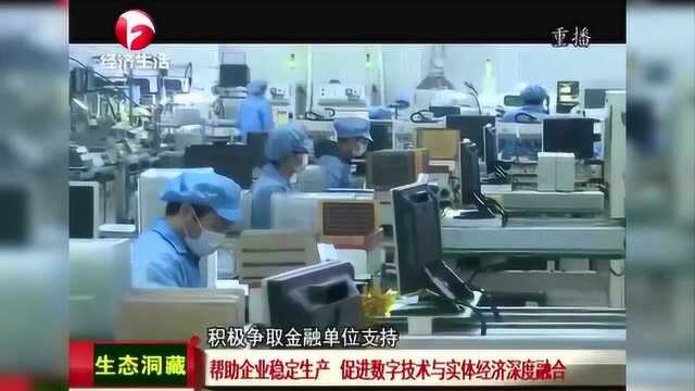 安徽省帮助企业稳定生产 促进数字技术与实体经济深度融合