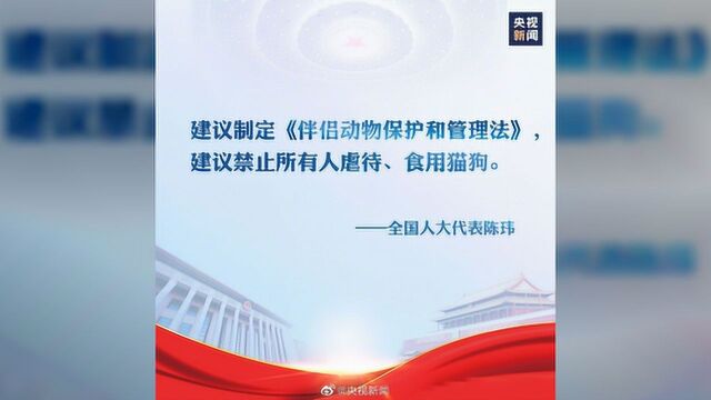 全国人大代表:立法禁虐禁食猫狗;对动物的态度是否是衡量文明进步的标志