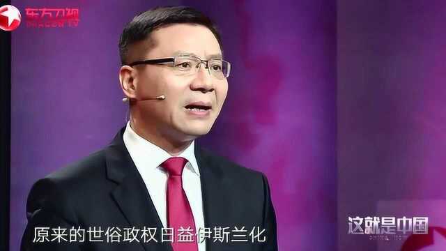 “阿拉伯之春”为何演变成“阿拉伯之冬”,张维为:这让我们更加坚持自己!