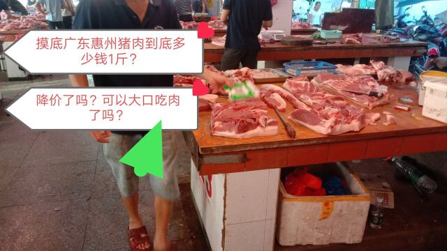 全国猪肉都降价了,实拍六月份广东惠州,猪肉价格到底是多少?降价了没有?