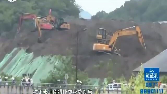 杭州市萧山区浦阳江新江村段江堤开裂下陷 专家紧急制定抢修方案