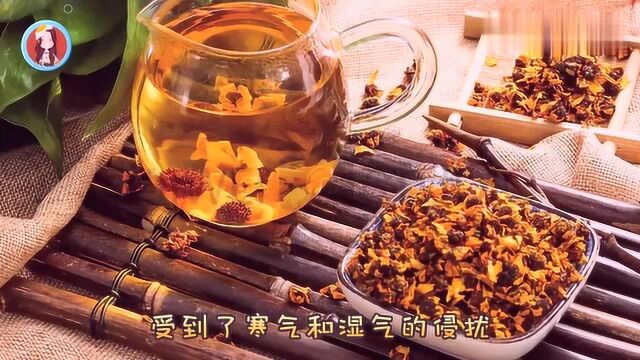 泡一杯菊花茶,3个好处“揽入怀中”,很多饮料都比不上