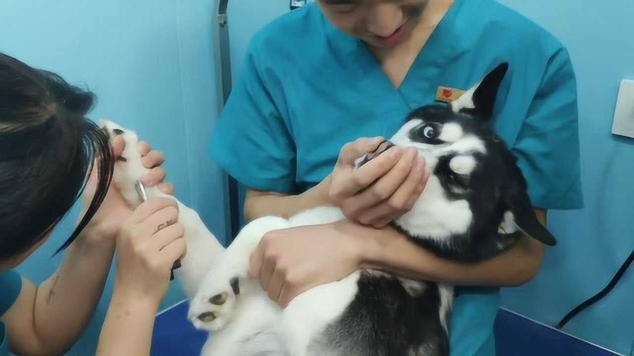 1280
