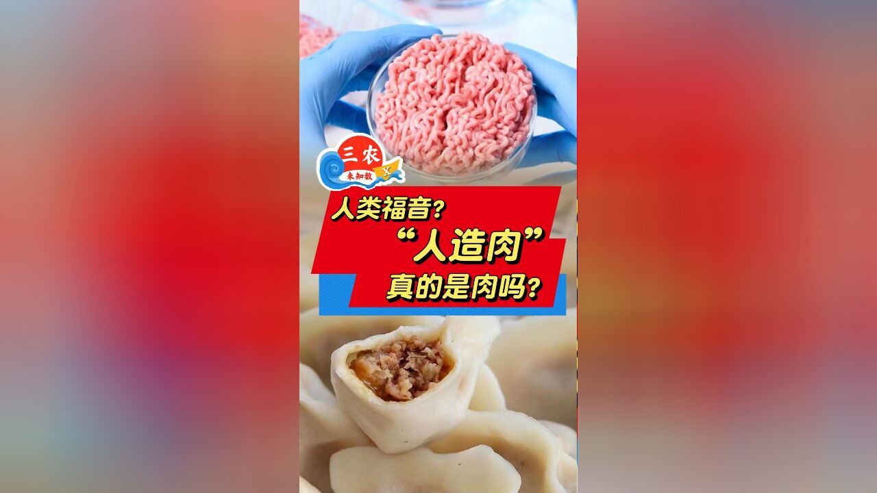 三农未知数丨人类福音?“人造肉”真的是肉吗?