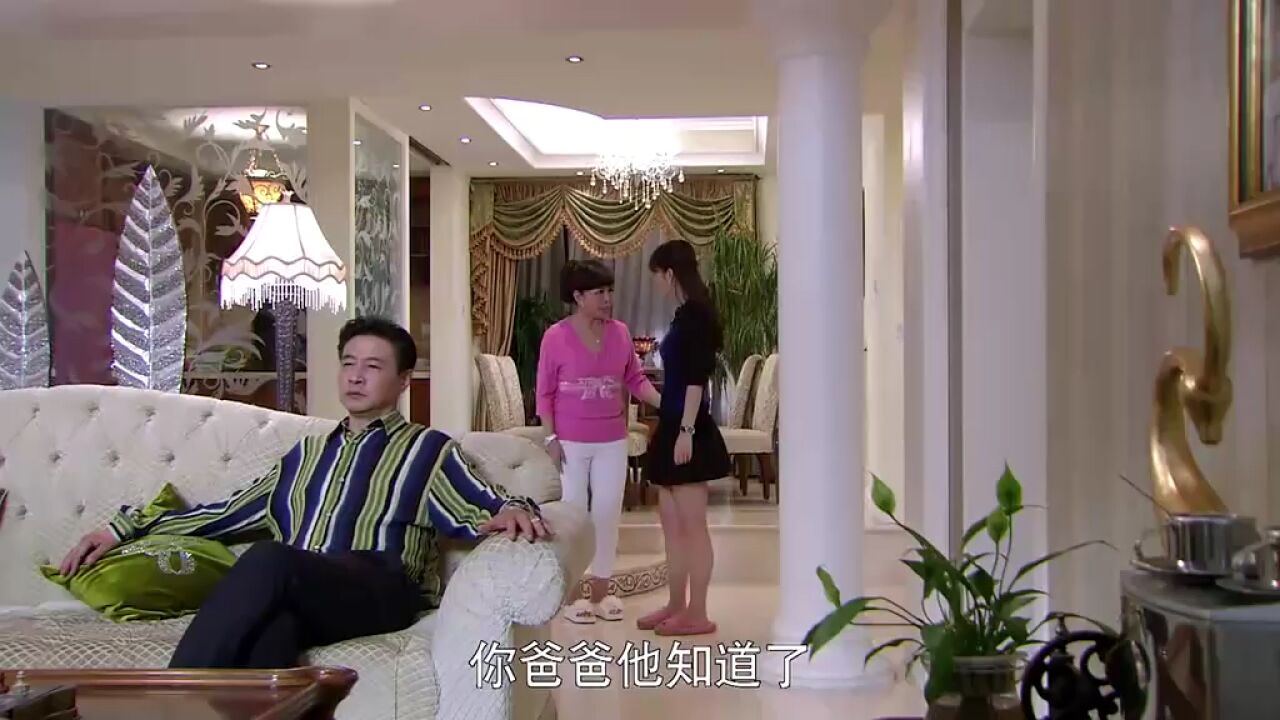 娘家:女婿身世不明,还爆出私生子,灵珊父亲大怒