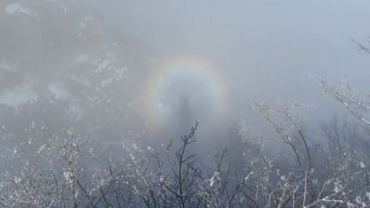 游客雪后爬泰山,拍到罕见碧霞宝光,全身被七彩光环环绕