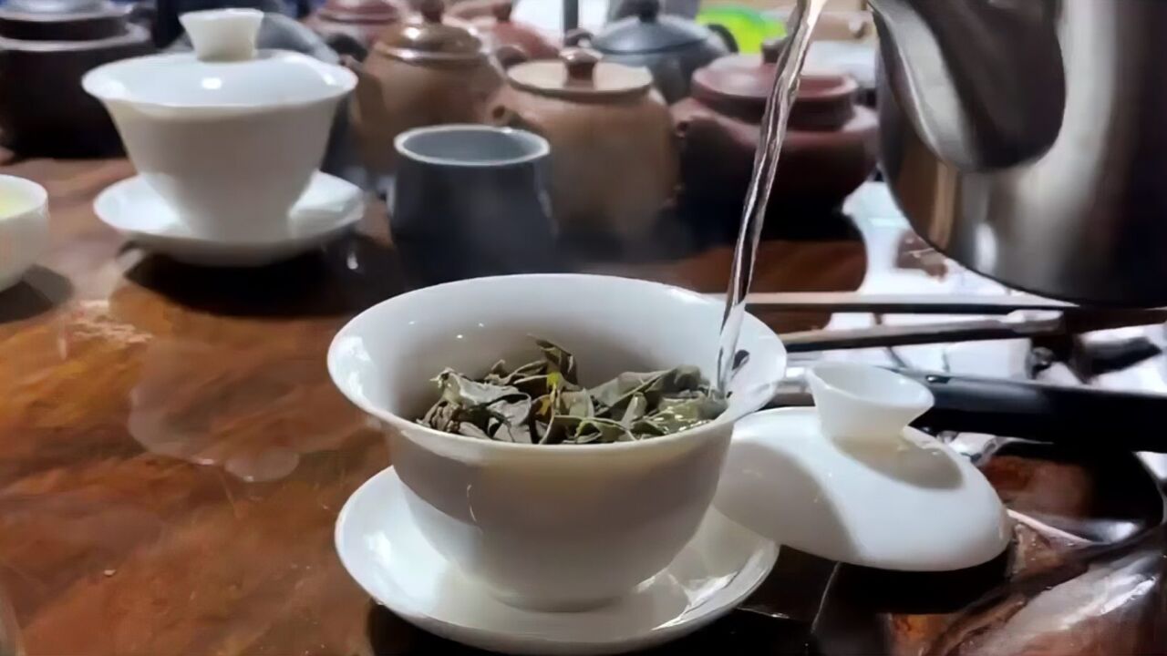 乌龙茶怎么冲泡才更好喝?掌握以下技巧,茶叶新手秒变高手