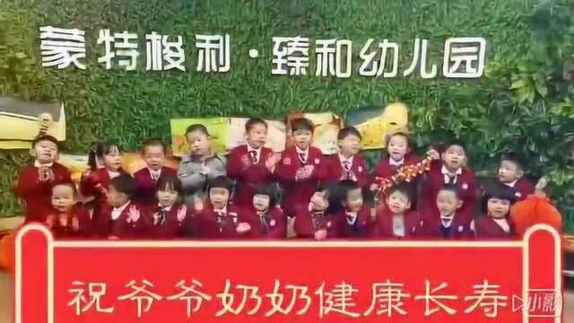 臻和国际幼儿园种子班宝宝给大家拜年啦!