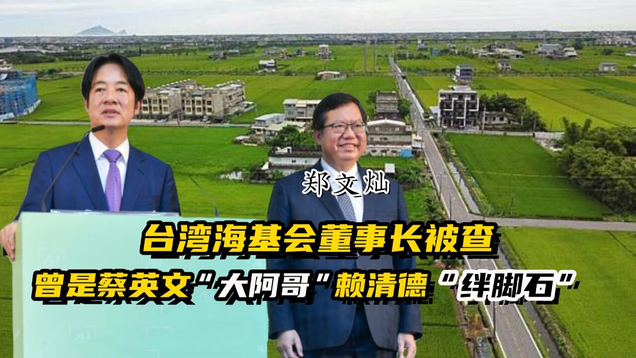 台湾海基会董事长被查,曾是蔡英文“大阿哥”赖清德的“绊脚石”