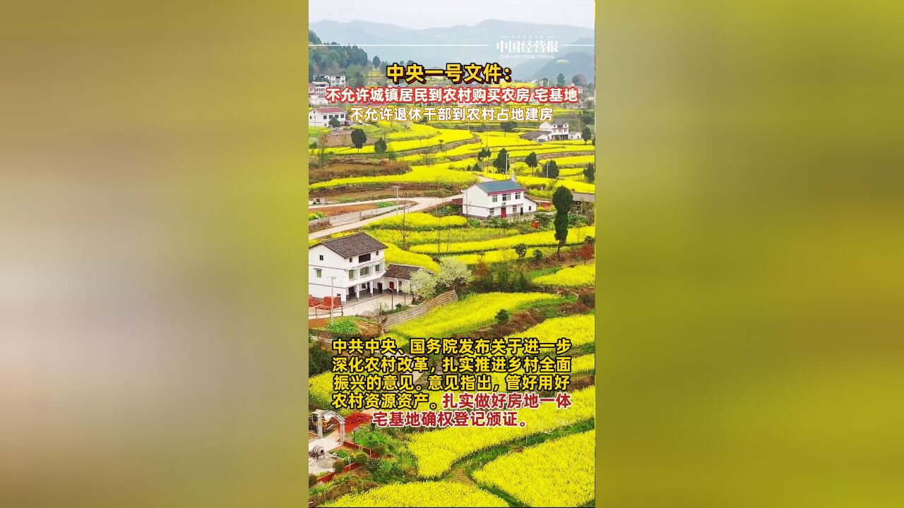 中央一号文件:不允许城镇居民到农村购买农房、宅基地,不允许退休干部到农村占地建房