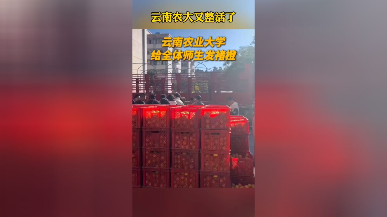 云南农大又整活了!