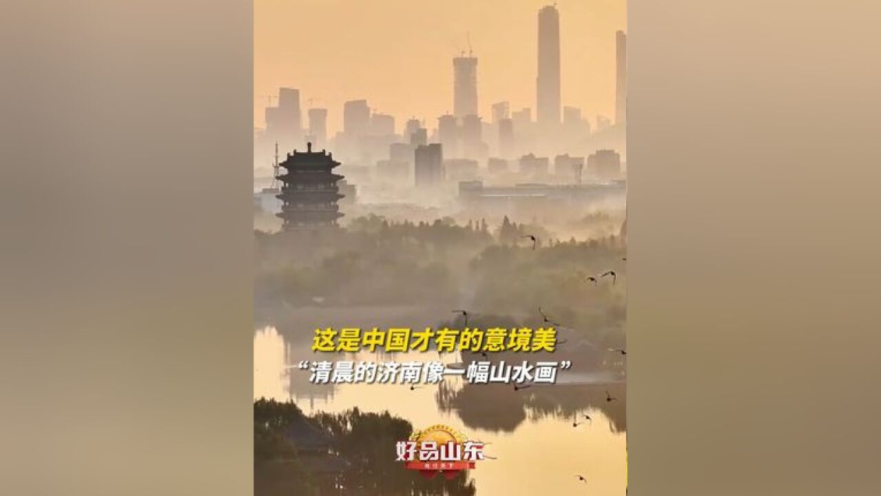 这是中国才有的!11月17日,山东济南,暖阳初升,云雾氤氲,清晨的济南美成了一幅.#一城山色半城湖 ,#山东是懂浪漫的 !