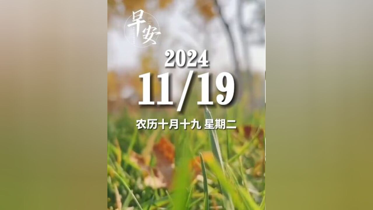 早安青岛 今天是11月19日 星期二 早安 梦想藏在心里,行动落于脚下