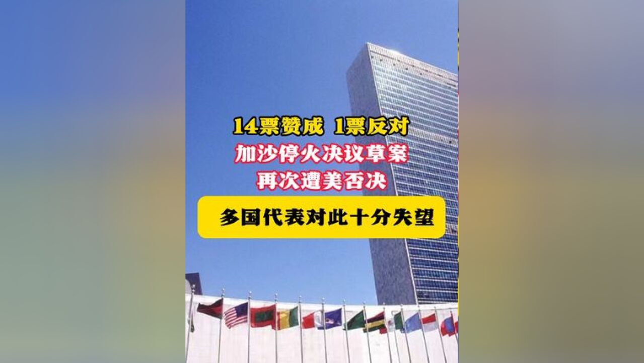 14票赞成 1票反对 加沙停火决议草案 再次遭美否决 多国代表对此十分失望