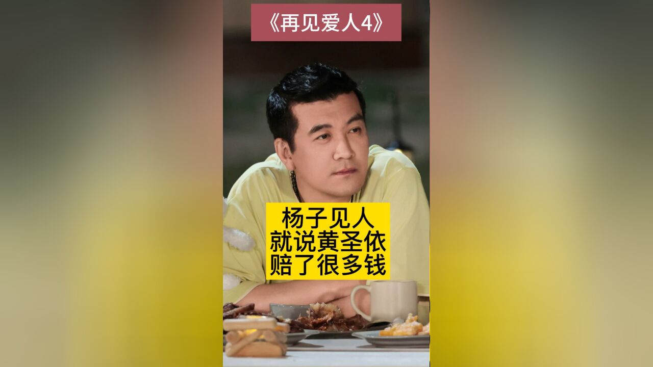 杨子见人就说:黄圣依赔了很多钱