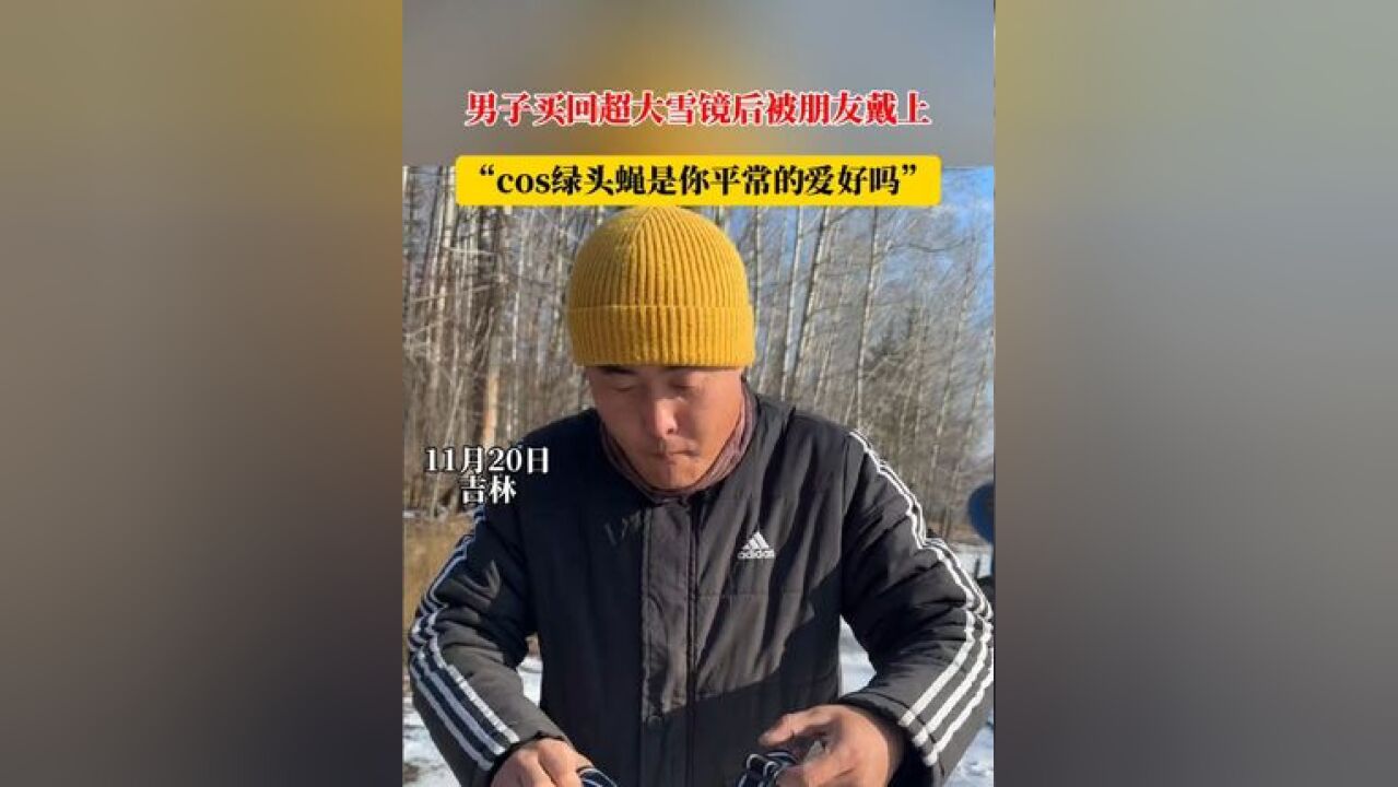 男子买回超大雪镜后被朋友戴上,“cos绿头蝇是你平常的爱好吗”