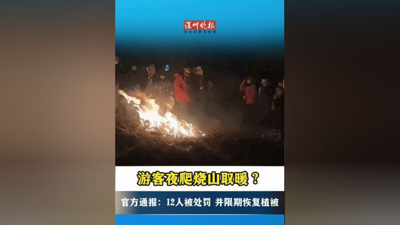 游客夜爬烧山取暖?官方通报:12人被处罚,并限期恢复植被