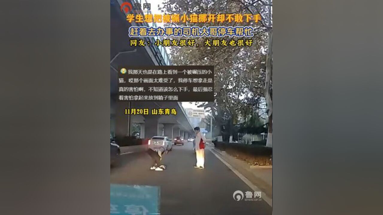 学生想把被碾小猫挪开却不敢下手,赶着去办事的司机大哥停车帮忙