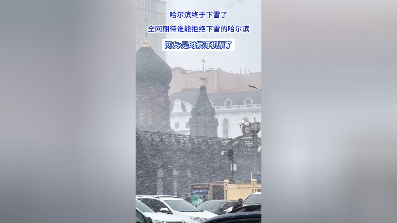 哈尔滨终于下雪了,谁能拒绝下雪的哈尔滨