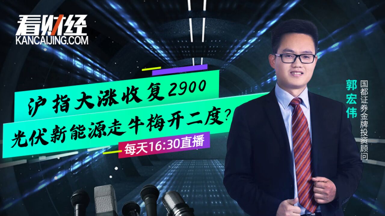 国都证券投顾郭宏伟:沪指大涨收复2900,新能源走牛梅开二度?