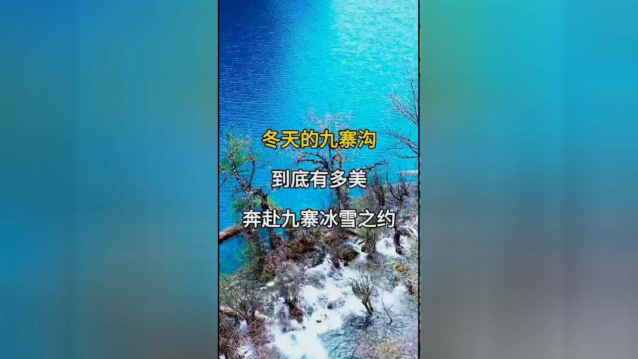 冬天的九寨沟:美得令人窒息,快来赴一场冰雪之旅!