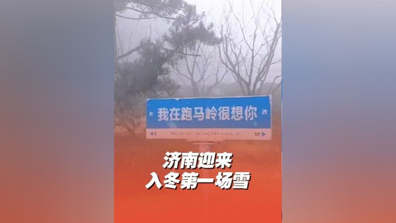 济南迎来今冬首场降雪 济南也下雪啦!南部山区跑马岭迎来2024年冬天的第一场雪~