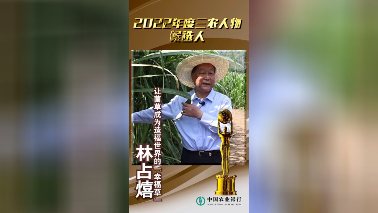 三农人物候选人丨林占熺:让菌草成为造福世界的“幸福草”