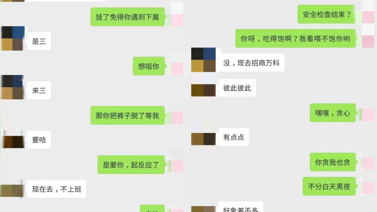 疑成都男女副区长不雅聊天曝光:纪委介入调查,男干部简历下架