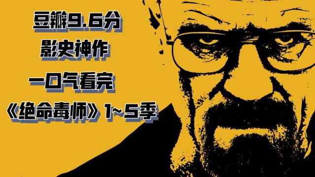 【豆瓣9.6】影史神作!一口气带你看完美剧天花板《绝命毒师》1~5季