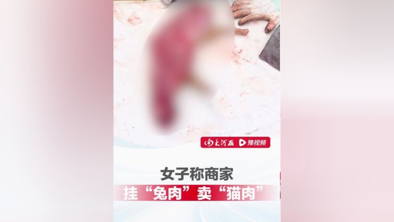 女子称商家挂“兔肉”卖“猫肉”,回家一煮发现有异味:“家里的猫一闻就跑了”