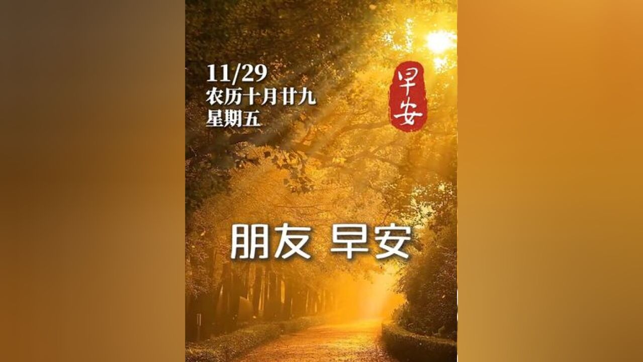 今天是11月29日(星期五),清晨露珠闪晶莹,心中梦想更分明.不畏前路多坎坷,坚定信念永不停.朋友早安~#早安 #问候