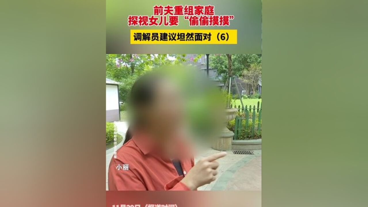 前夫重组家庭,探视女儿要偷偷摸摸,调解员建议坦然面对