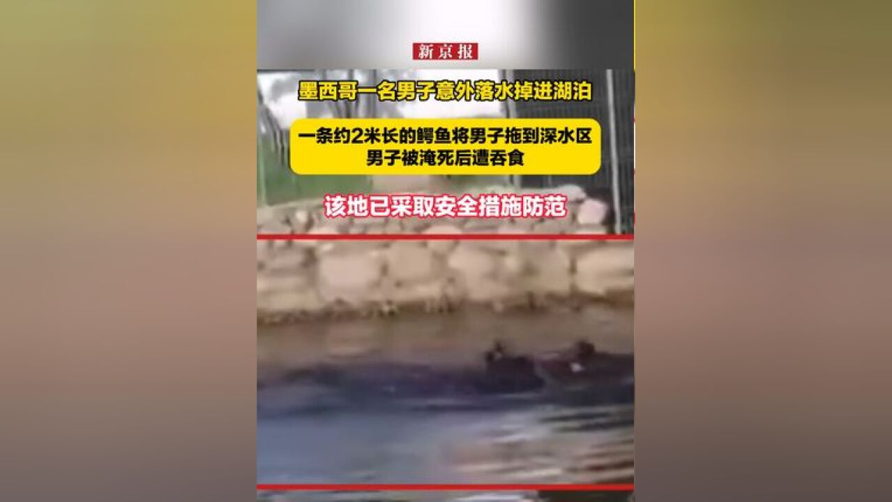 墨西哥一名男子意外落水掉进湖泊,一条约2米长的鳄鱼将男子拖到深水区,男子被淹死后遭吞食,该地已采取安全措施防范