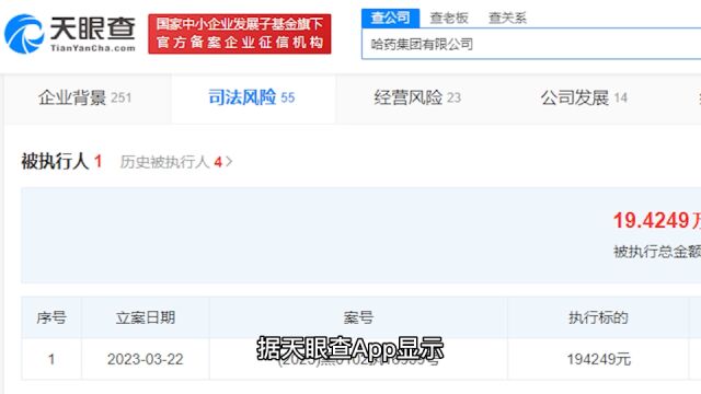 哈药集团被强制执行19万