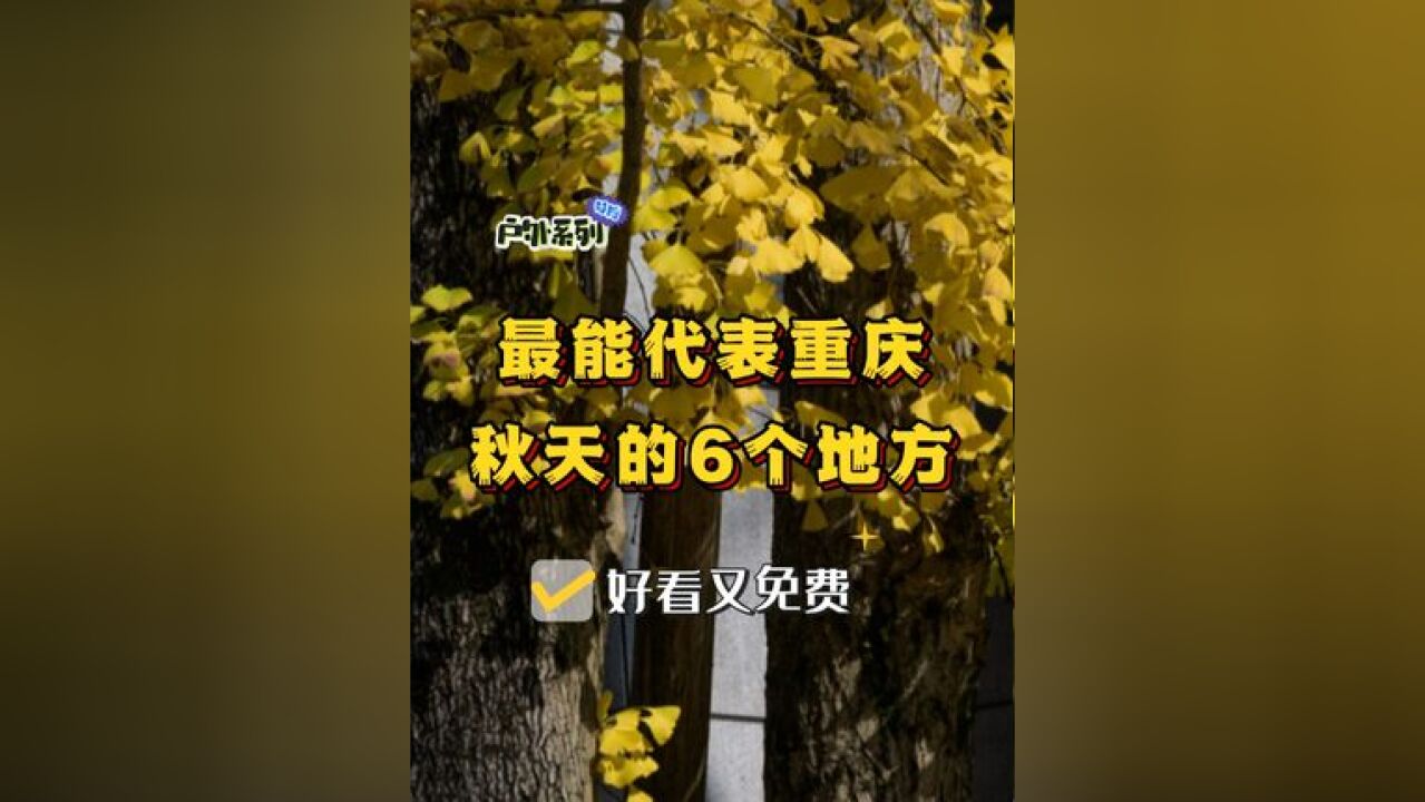 最能代表重庆秋天的6个地方,看看你都去过几个?