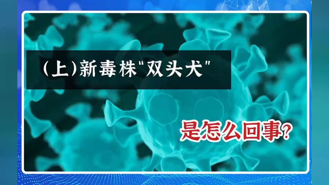 (上) 新毒株“双头犬”,是怎么回事?