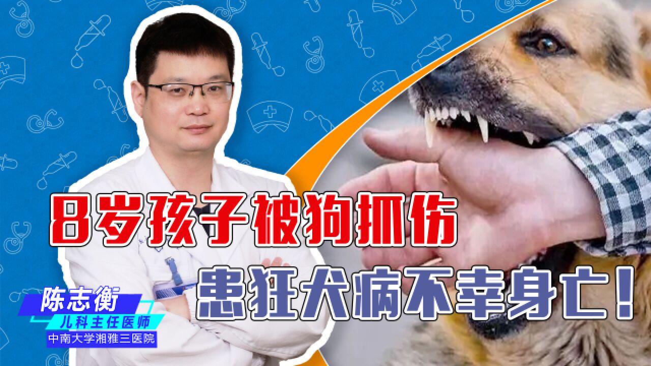 狂犬病有多狠?发病死亡率高达100%,被咬后还敢抱有侥幸心理吗?