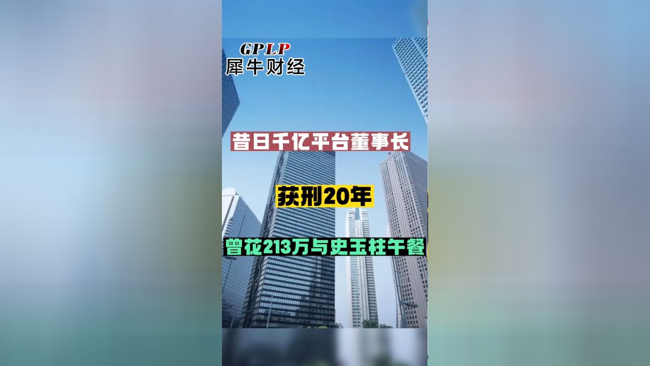 昔日千亿平台董事长 获刑20年 曾花213万与史玉柱午餐