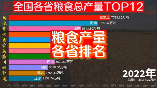 粮食安全重于泰山,各省粮食总产量排名,山东河南黑龙江名列前3