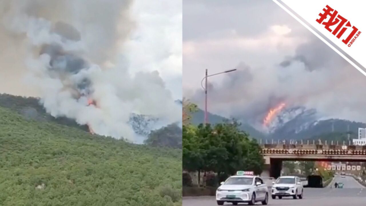 云南楚雄突发山火当地组织200余人扑救:火点在高铁站后面山上