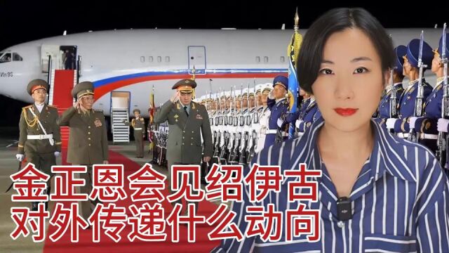 “新冷战”背景下 金正恩会见俄罗斯防长绍伊古传递重大信号