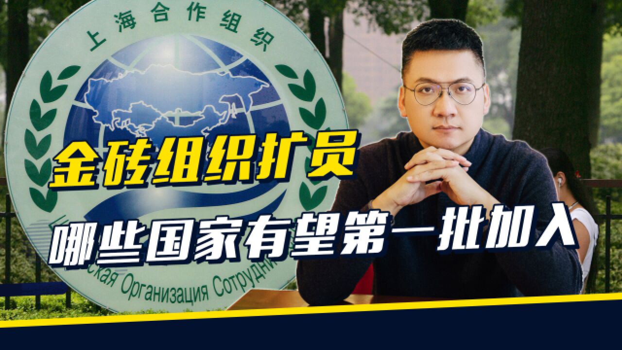 沙治平:俄反对马克龙出席!要加入金砖组织,需具备三个特征