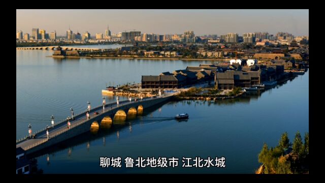 2023年15月聊城各地财政表现,茌平亟待恢复,冠县突飞猛进