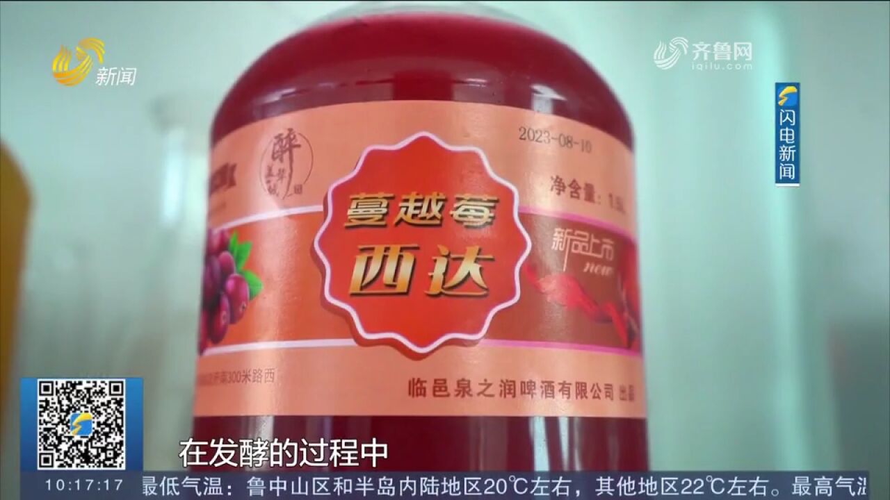 临邑:乡村特色产业多点开花,啤酒“酿造”出乡村里的产业链