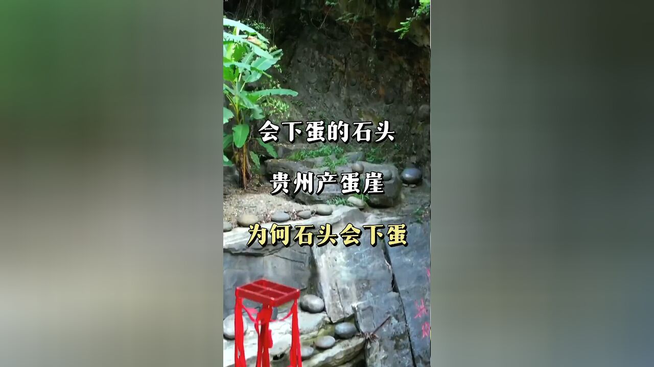 大自然的秘密:探秘石头如何像母鸡一样'下蛋'