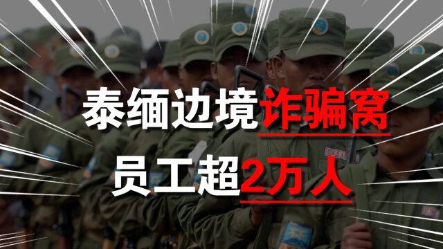 泰缅边境诈骗窝:员工超2万,有人一天“业绩”近150万,背后大佬是华人