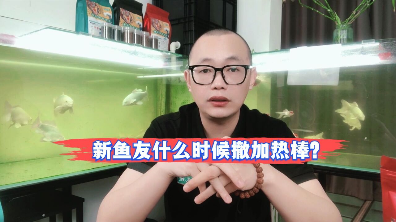 新鱼友什么时候撤加热棒?