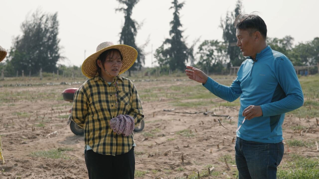 科研狂人免费送农民1300份花生:自己赚十万,不如大家一起赚一百万